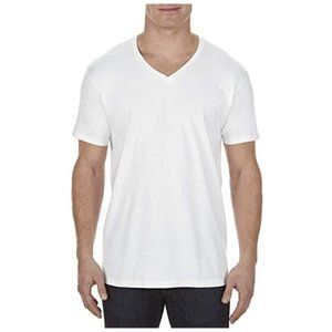Alstyle Apparel  Men's Lightweight V-Neck T-Shit